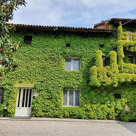 Bed and Breakfast Altebas Nogaredo di Prato Esterno foto